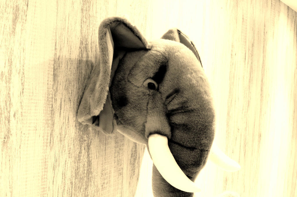 Hotel Ark - Dongmen
