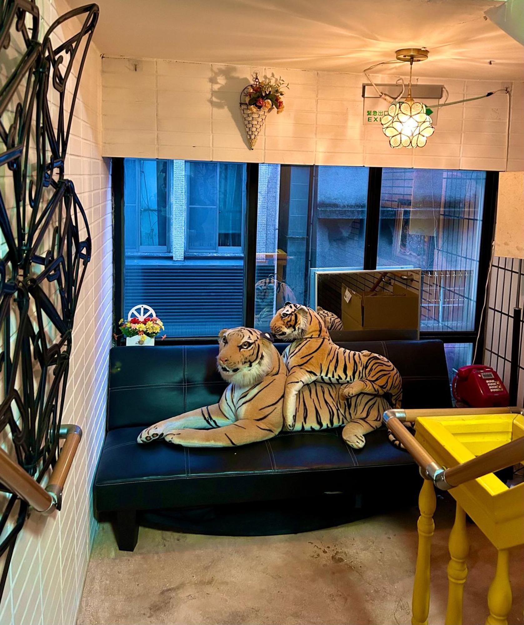 Hostel Triple Tiger