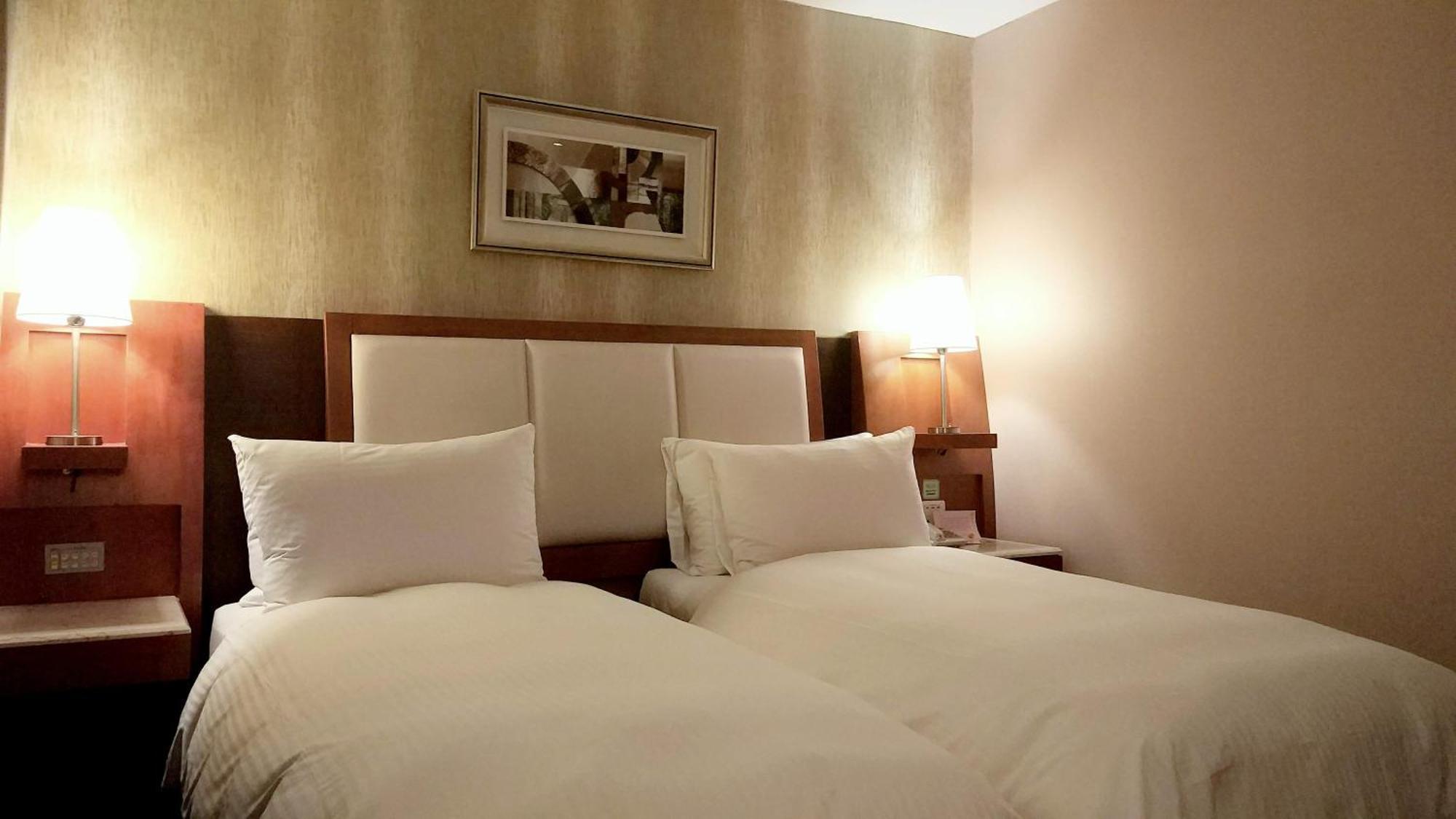 Hotel Elegance 3*