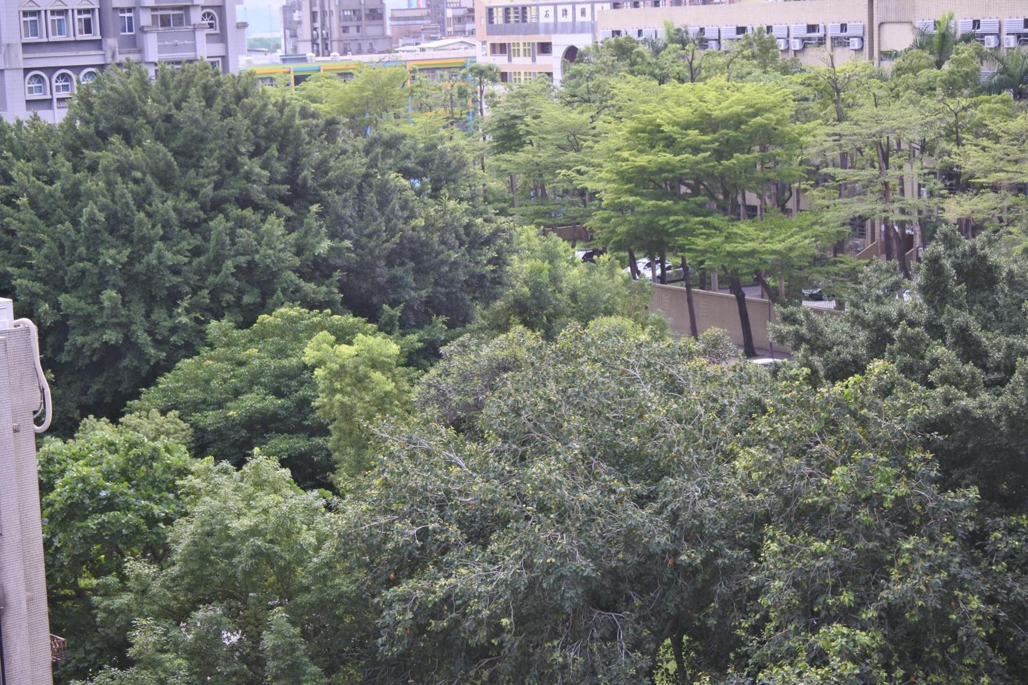 Tianmu Star Urban Living