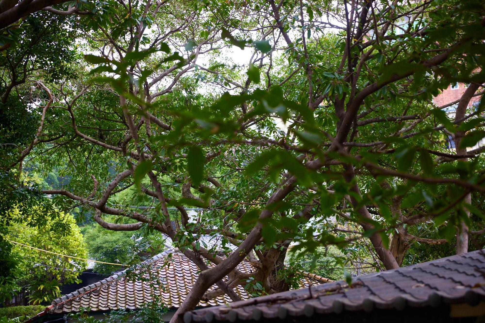 Kyokusui Hotspring *