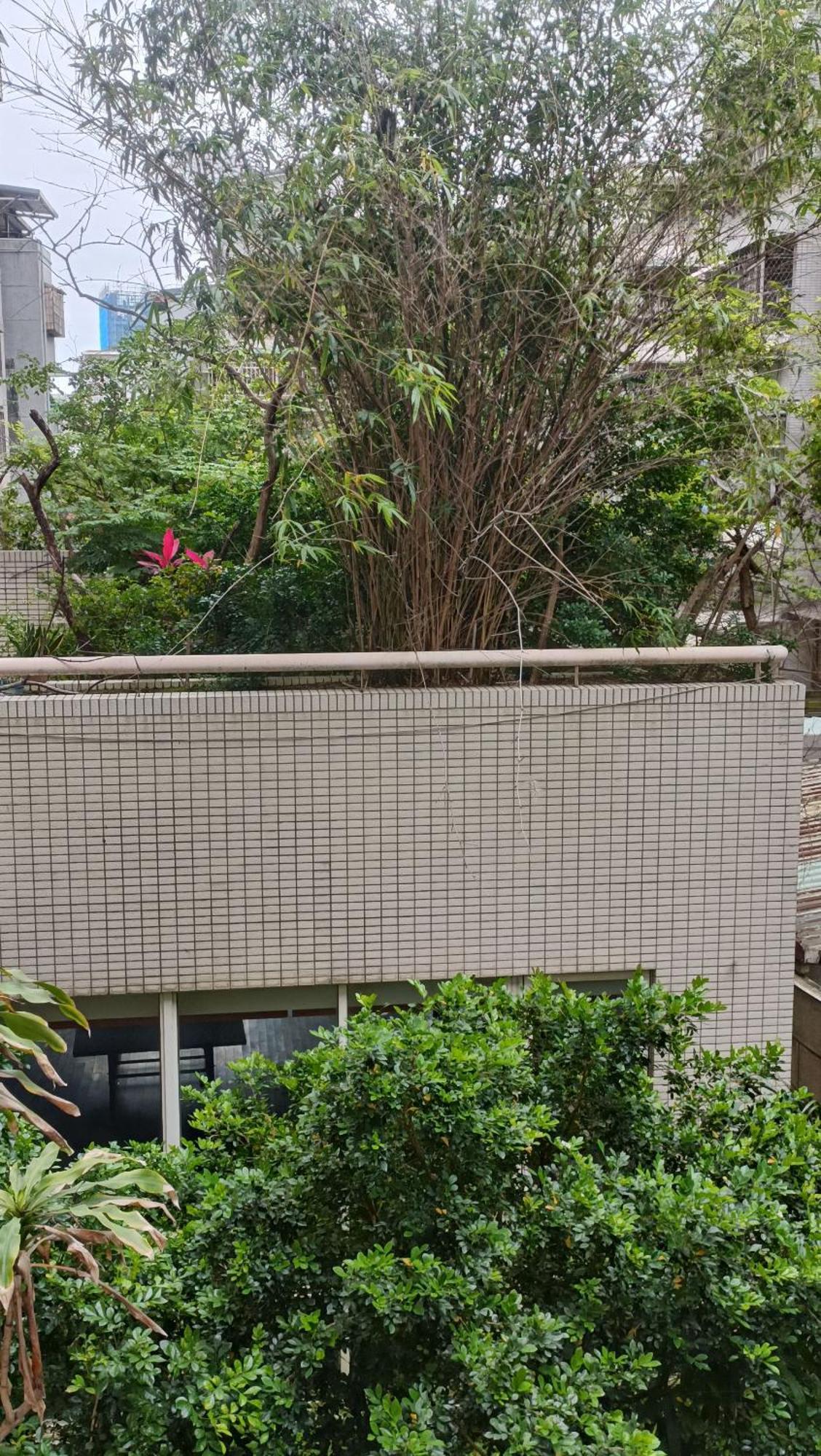 Inn Tianmu Star Urban Living Taipei