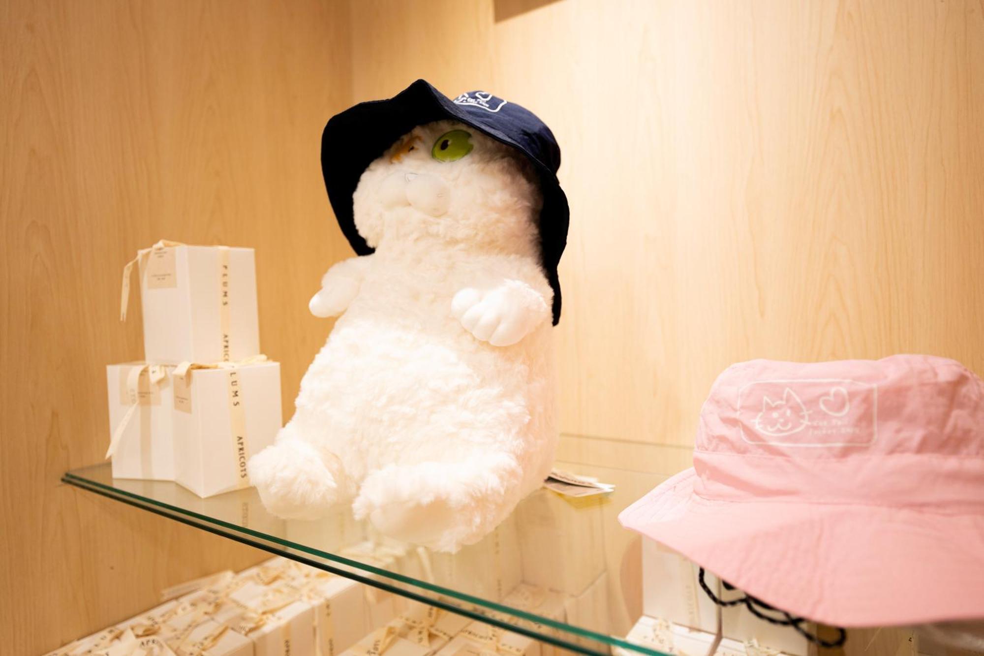 Penginapan Cat Tail Pocket Ximen Taipei