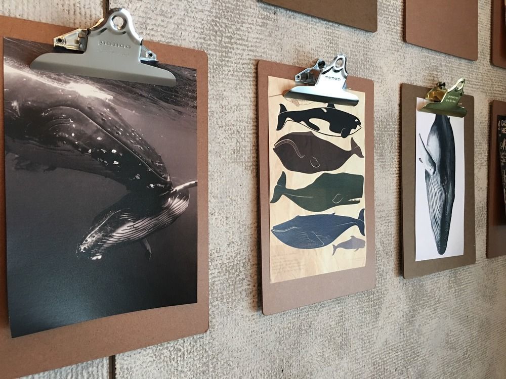 Papa Whale