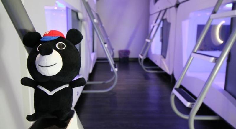 Hey Bear Capsule