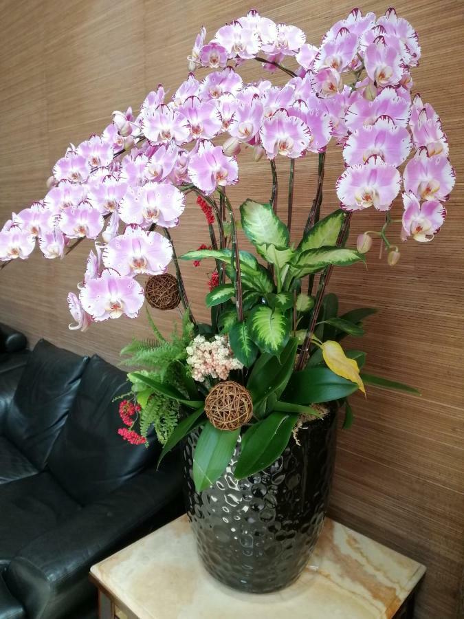Resor Shan-yue Hotspring Taipei