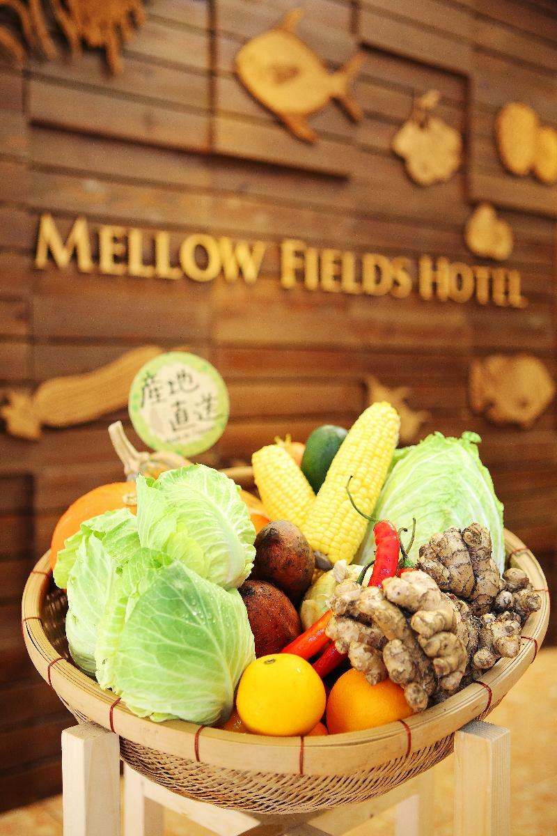 Pensão Mellow Fields Taipei
