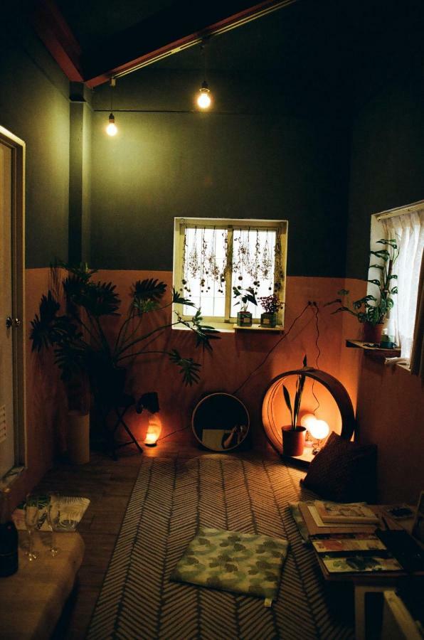 Camellia Apartment
