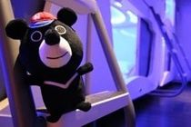 Hey Bear Capsule Capsule hotel