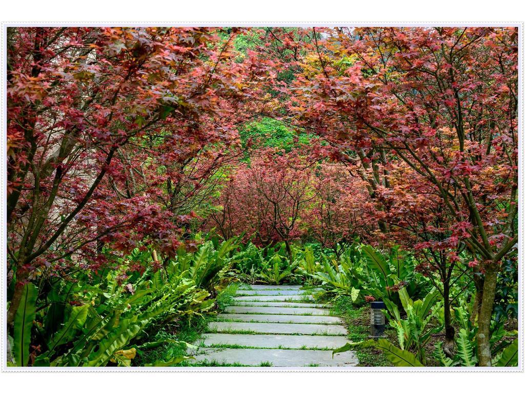 Hospedagem domiciliar Maple' Smile Taipei