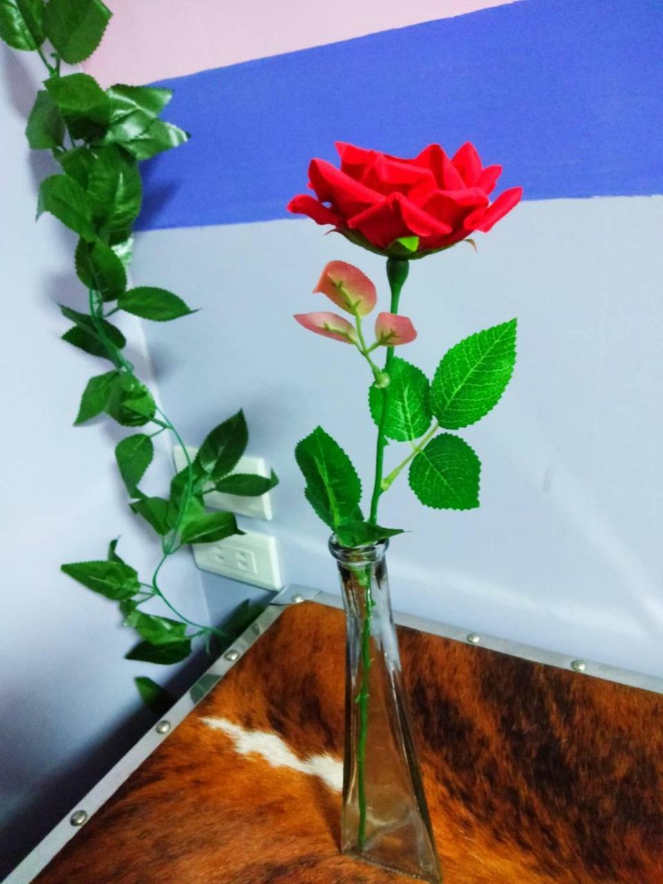 Tea House Homestay Apartemen