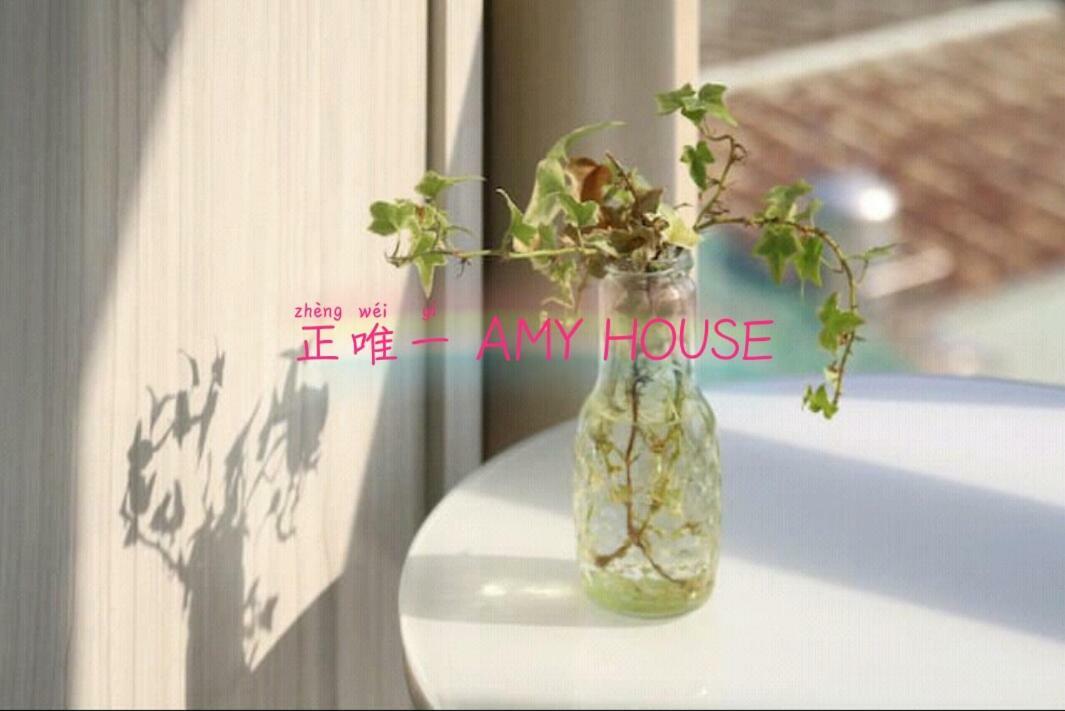 Hotel Amy House Ntu Taipei Gongguan Loft 3*