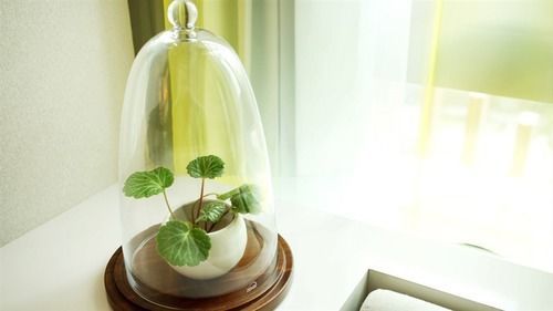 Hotel Royal Beitou 5*