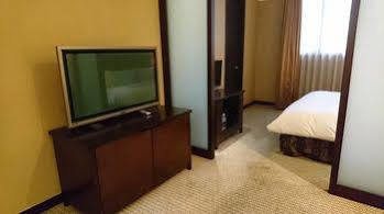 Hotel International